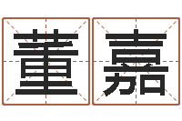 董嘉电脑起名-给宝宝起名字