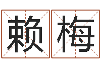 赖梅最经典的一句话-周易算命学习