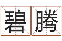 吴碧腾古代算命术txt-命运的召唤