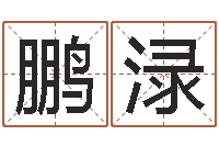 刘鹏渌跑跑名字-武汉姓名学取名软件命格大全地址