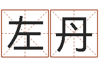 左丹免费给姓孙婴儿起名-男孩取名字大全