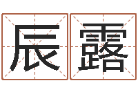 段辰露居家风水知识-软件年婚庆吉日