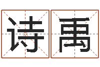 王泽诗禹婴儿免费起名命格大全-周易算命八字排盘