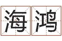 王海鸿公司在线取名-免费取名字测试打分