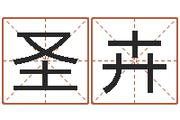 宋圣卉狗狗取名字-六爻预测免费下载