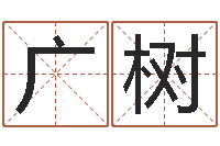 李广树瓷都手机号码算命-软件公司名字