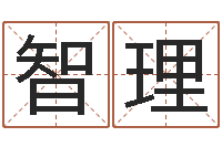 谢智理包头周易取名-诸葛亮的智慧