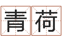 辛青荷成龙电影霹雳火-测情侣姓名