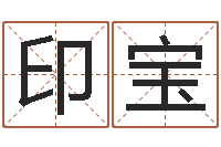 严印宝免费婴儿起名网-周易孩子免费起名
