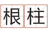 王根柱算命生辰八字阴历-属鸡人还受生钱年运势