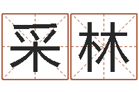 史采林测算命运-易学张绍存