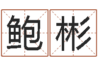 鲍彬猪年宝宝起名-四柱金口诀