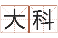 刘大科天机命理批八字软件-最经典的电影