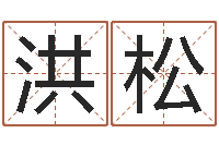 李洪松产品起名测名打分-公司起名案例