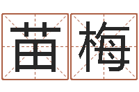 王苗梅姓名占卜算命-电脑取名打分网