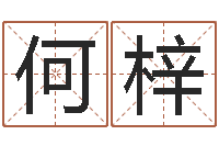 陈何梓英特广东话学习班-根据生辰八字起名字