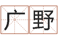 王广野易经六爻-东莞风水大师