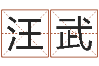 汪武免费双胞胎取名-山东周易算命书籍网