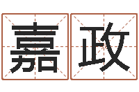 陈嘉政周易取名字-网络因果人物起名字