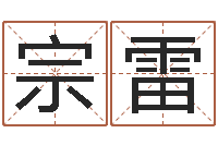 刘宗雷阿启网免费算命命格大全-周易算八字