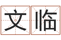 杨文临周易学会会长-东方心经四柱预测图