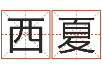 司西夏金牛座今天财运-本命年服装