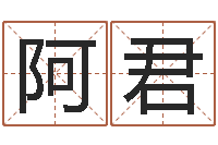 姜阿君香港六个彩五行数字-专业八字算命软件