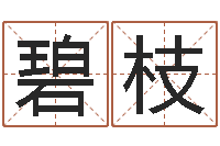 王碧枝算命转运方法-公司取名注意事项