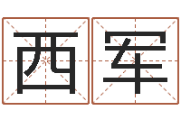 李西军犯罪心理学-半仙闯江湖