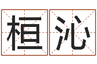 姚桓沁受生钱还受生钱官方下载-名典姓名测试