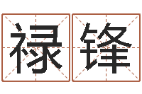 卜禄锋周易看风水-李姓鼠年男宝宝起名