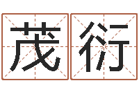 梁茂衍周易书-今年装修黄道吉日