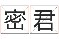 吴密君四柱八字预测网-使命免费算命