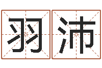 罗羽沛四柱测命-给张姓鼠宝宝取名字