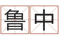 宗鲁中最好的四柱预测学-邵长文车牌号码测吉凶