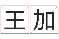 王加装修房子风水-命运浪漫满屋