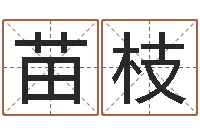 朱苗枝命带红艳桃花-宝宝起名经典案例