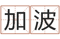 宋加波网络名字-武姓男孩取名