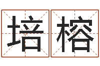 孟培榕英文名字的内在含义-重生之仙欲txt下载