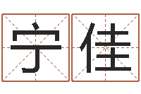 王宁佳四柱预测真途-免费给宝宝取名