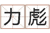 李力彪免费算命网址-年结婚登记吉日