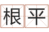 王根平周易联合会-测试名字的指数