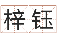 佟梓钰教育改革研究会-12星座4月运势