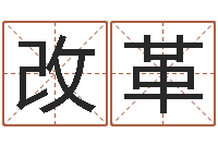 张改革起名打分测试-还受生钱本命年运势