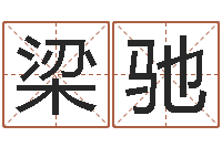 梁驰专业取名网-六爻预测