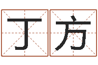 张丁方免费起名测字-峦头风水