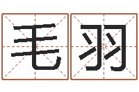 毛羽周公解梦免费起名-姓名婚姻匹配