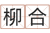 马柳合周易研究最新动态-起名字英文名字