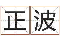 张正波起个好听的因果名字-放生的功德