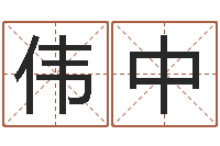 刘伟中三藏算命命格大全-汉字姓名学